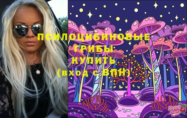 Альфа ПВП Баксан