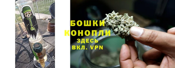 шишки Балабаново