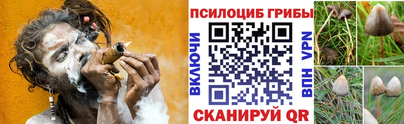 цена наркотик  Шебекино  Псилоцибиновые грибы MAGIC MUSHROOMS 